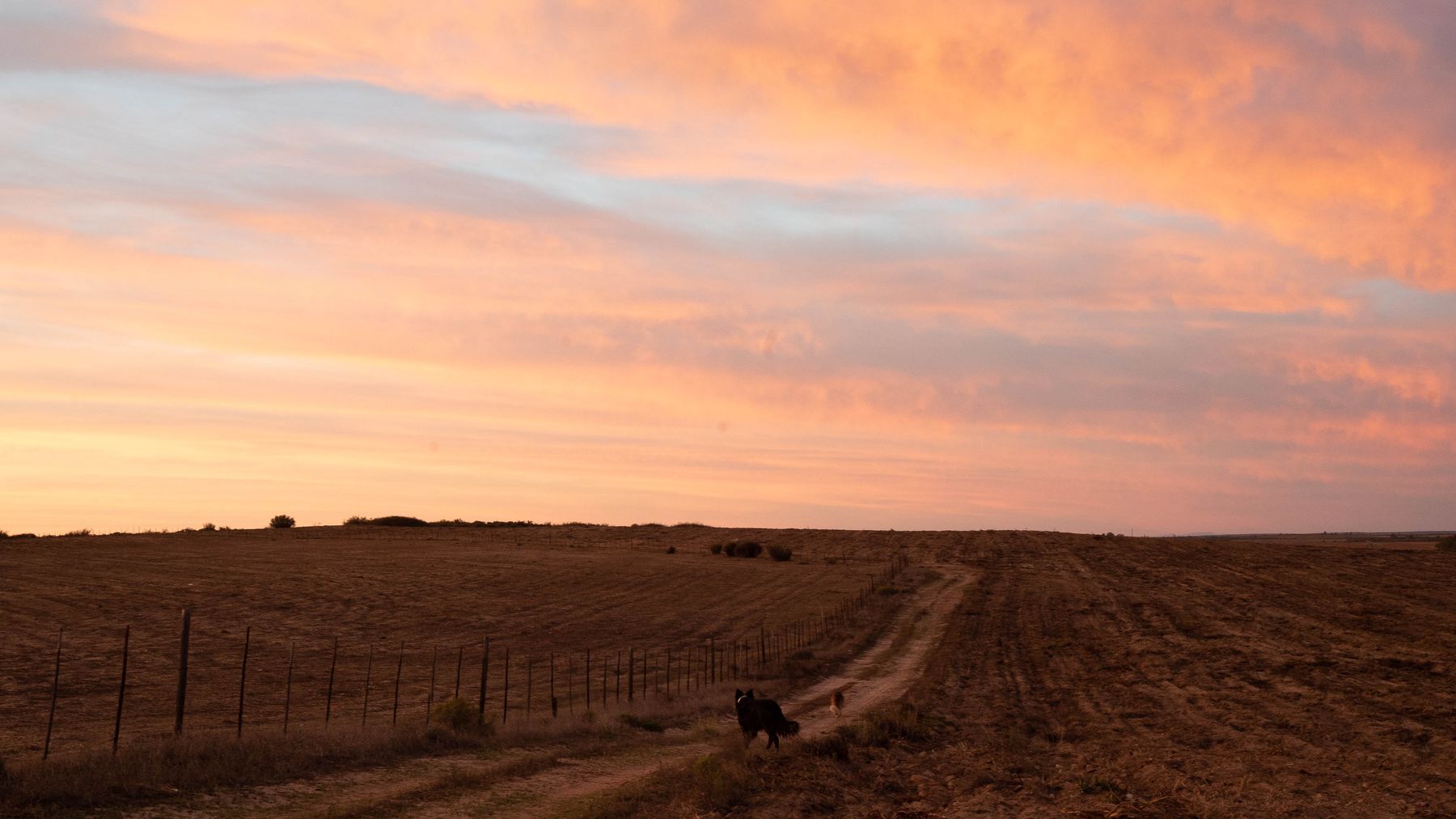 A straight red farm road at dusk